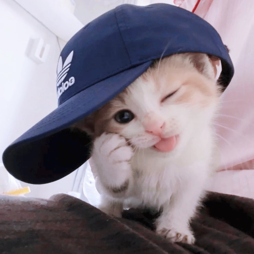 น้องป๋วย tweet media