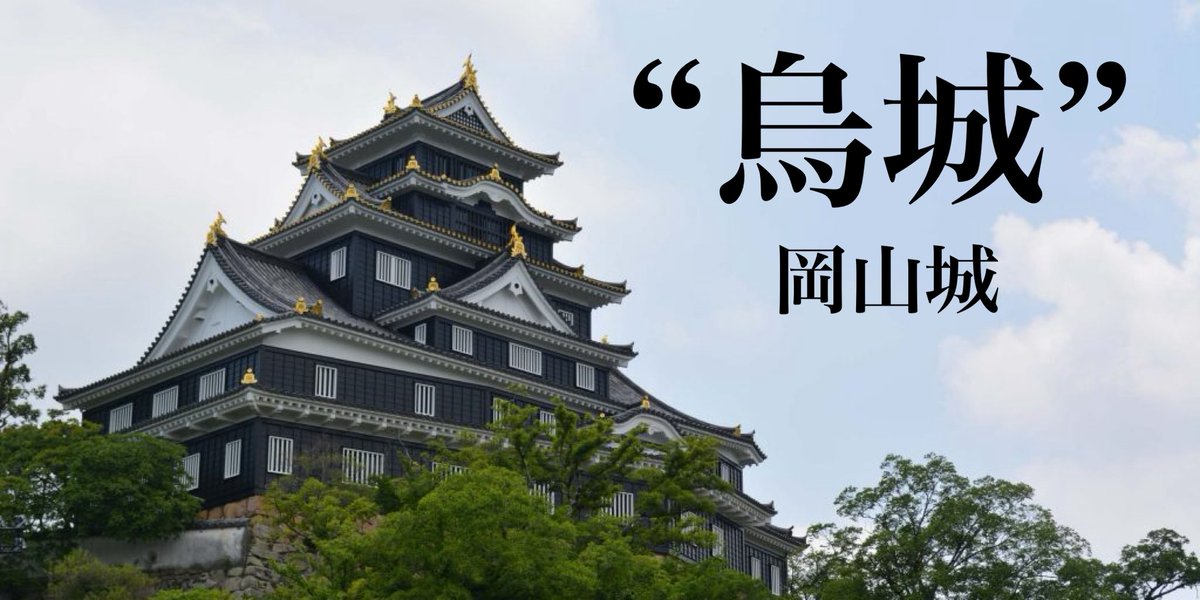 NOM大将 tweet media