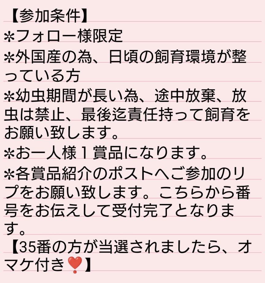＊mamako＊《ヘラ💗》 tweet media