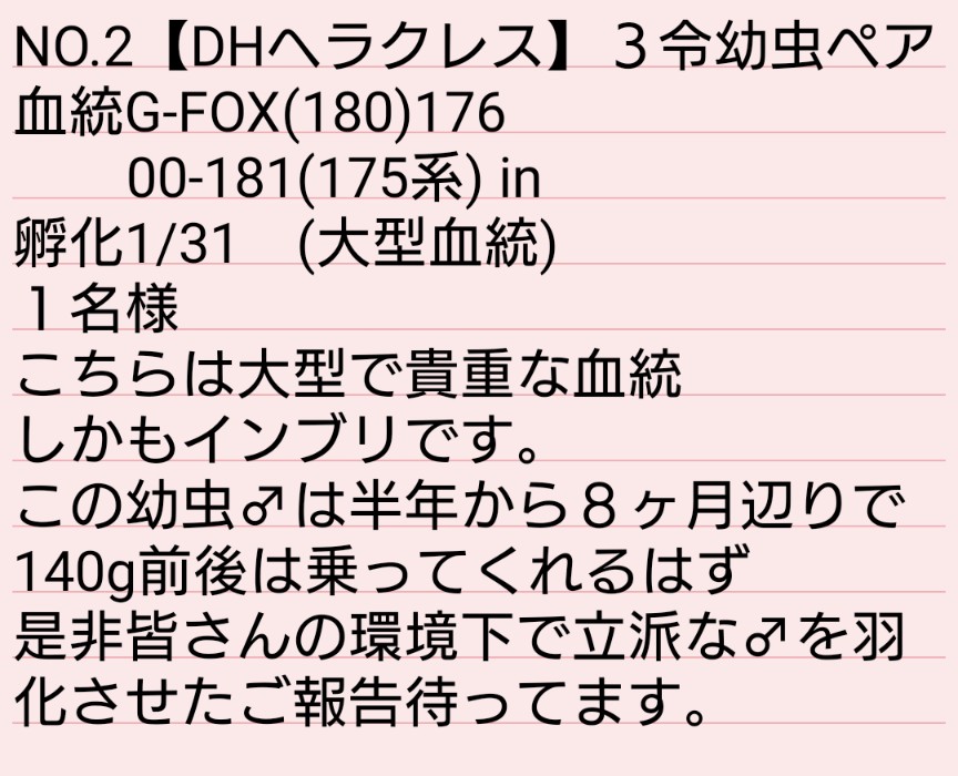 ＊mamako＊《ヘラ💗》 tweet media