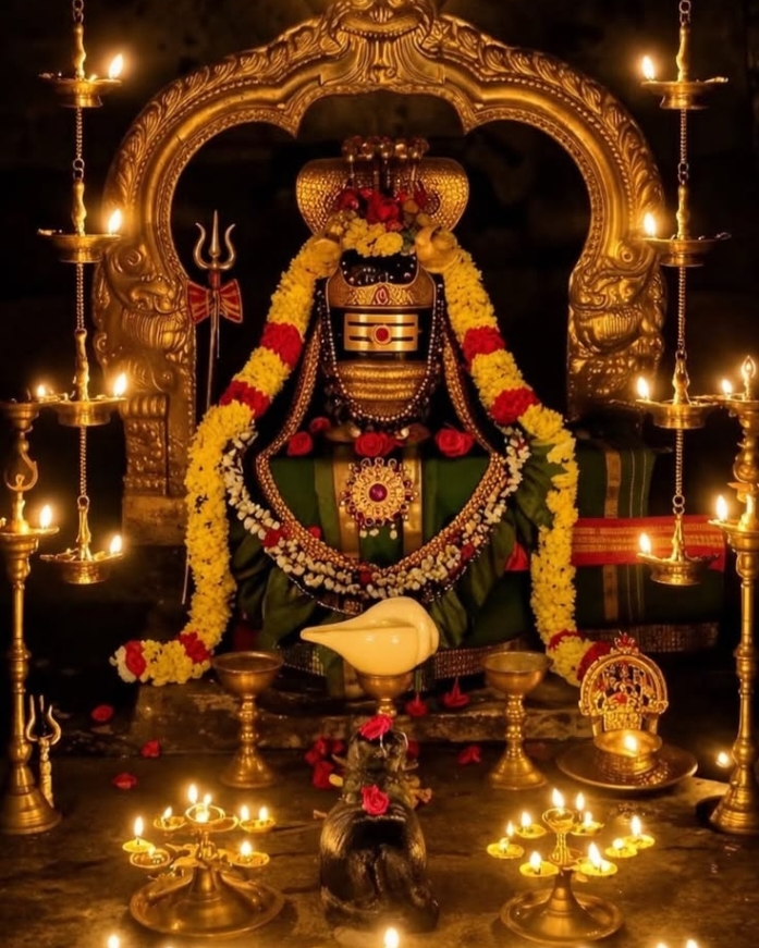 Tirupati Tirumala Info tweet media