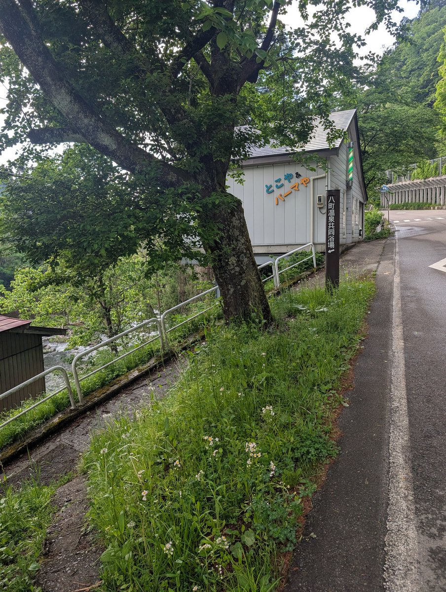 Snigel01's tweet photo. 【🇯🇵帰省26-15-14】お、橋の手前、お世話になってる旅館側にも共同湯があるやん…と行ってみた。

おそるおそる開けたドアの向こうにあったのは、まさかの混浴！ええええと声が出た。

ちなみになんでここ玉梨八町温泉に来たかというと、炭酸泉らしいのね。それで。 https://t.co/VEZ85SERWN