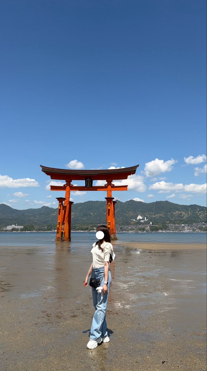 鯉奈⚾🎏 tweet media