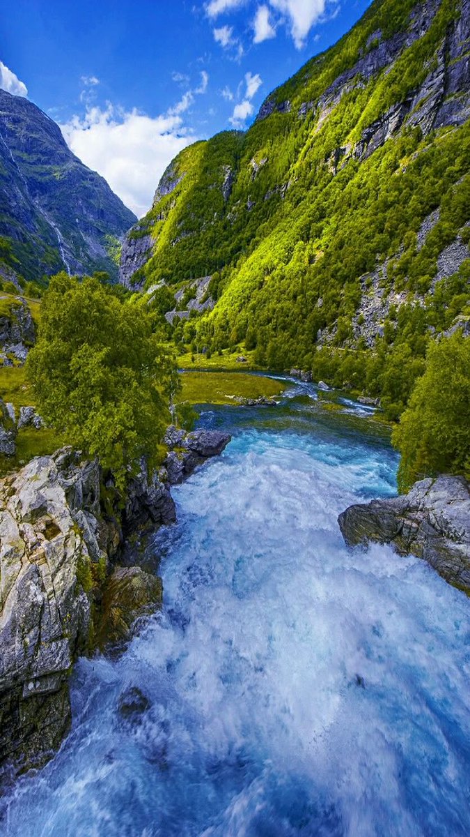 Nature Art tweet media