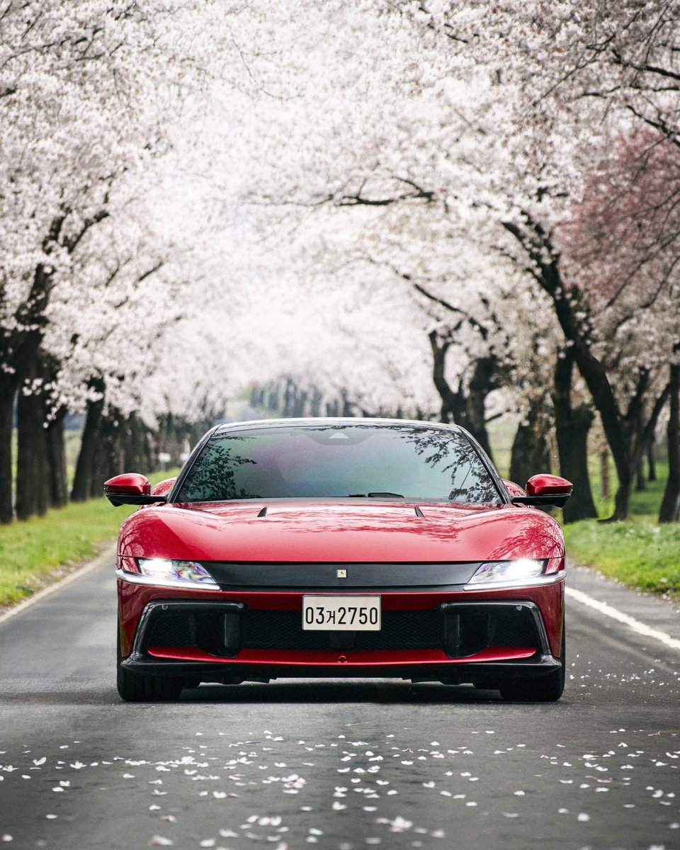 Rosso Scuderia (@Rosso_Scuderia_) / Posts / X