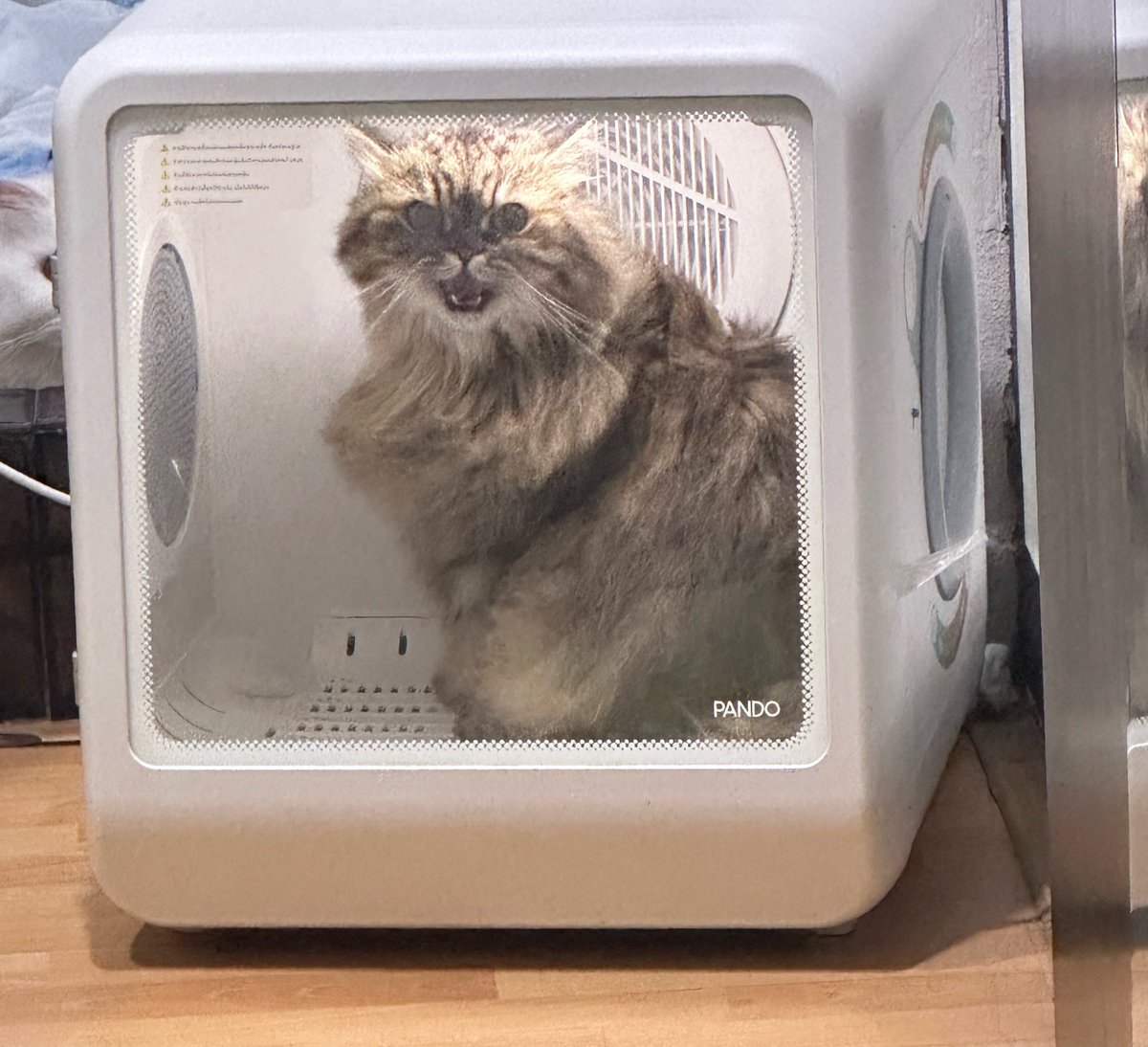 นีนี่ฮุนฮุนเป็นน้องพี่หมี🐻🐱 tweet media