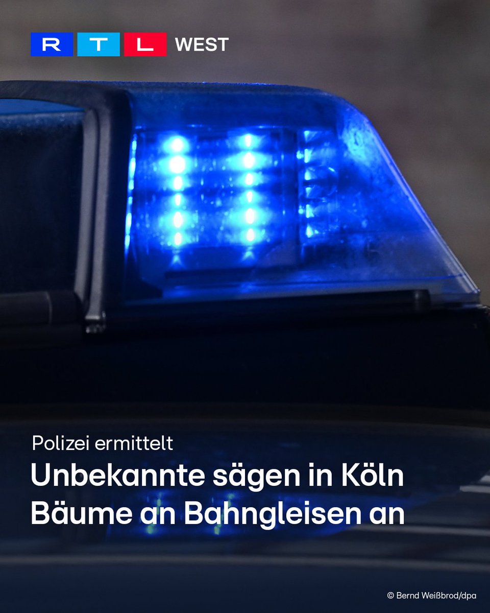 RTL WEST tweet media