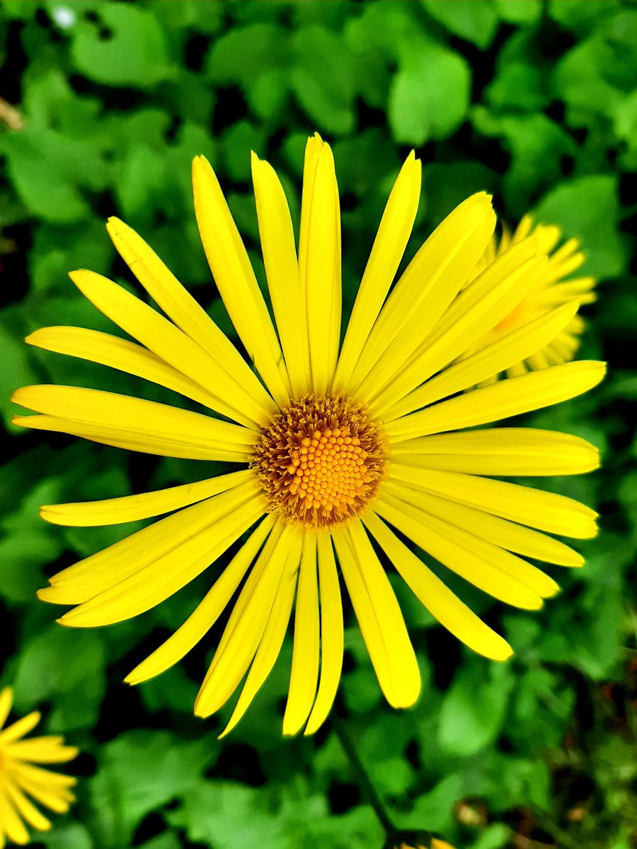 Happy day...smile