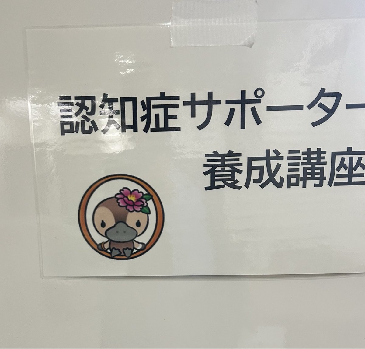山下金吾(江東区議会議員、プロレスラー💪) tweet media