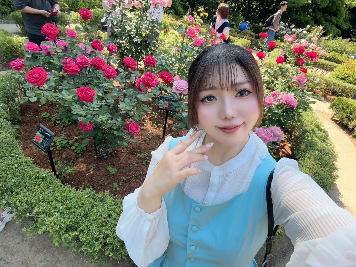 Post by りん🌟4/26ちし共A-17 on X: 🥀🥀