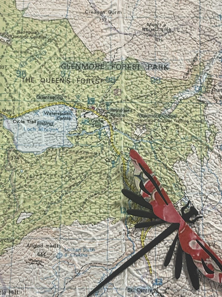 Mini Map-Makers Global CIC tweet media