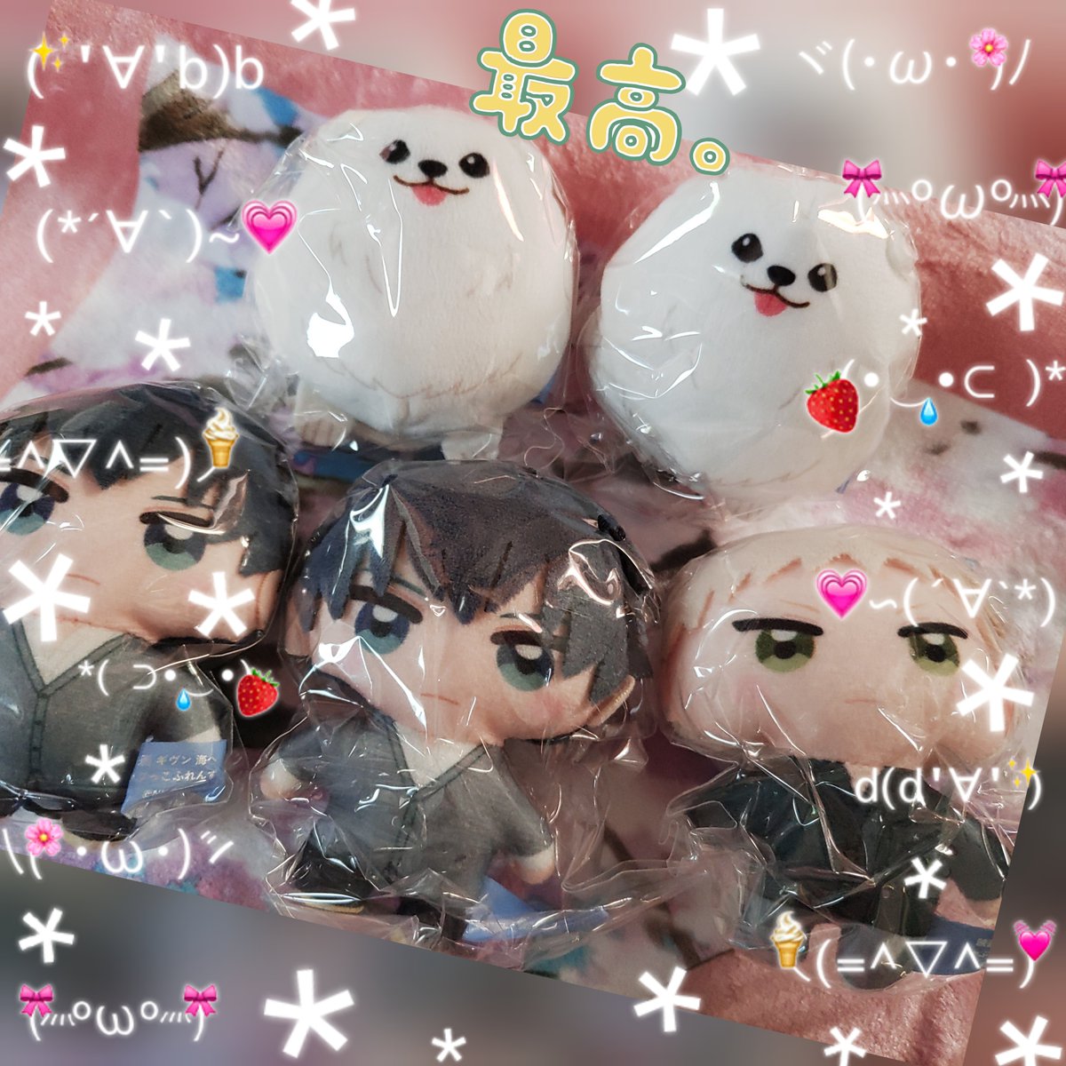 ハチ🐶 tweet media
