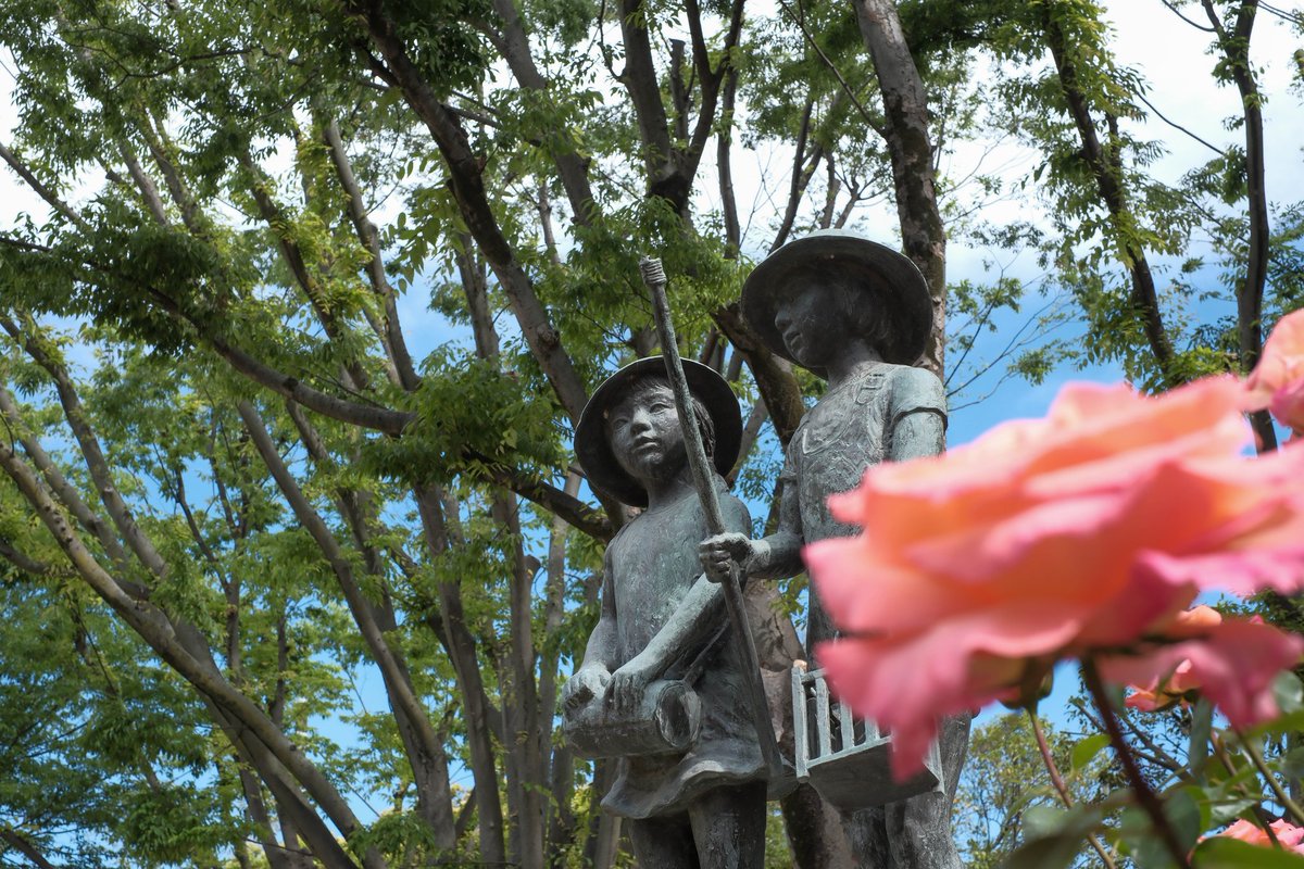 須和田公園 shot on #FUJIFILMXE5 #XE5 #XF35F14 #XF35 FUJIFILM X-E5