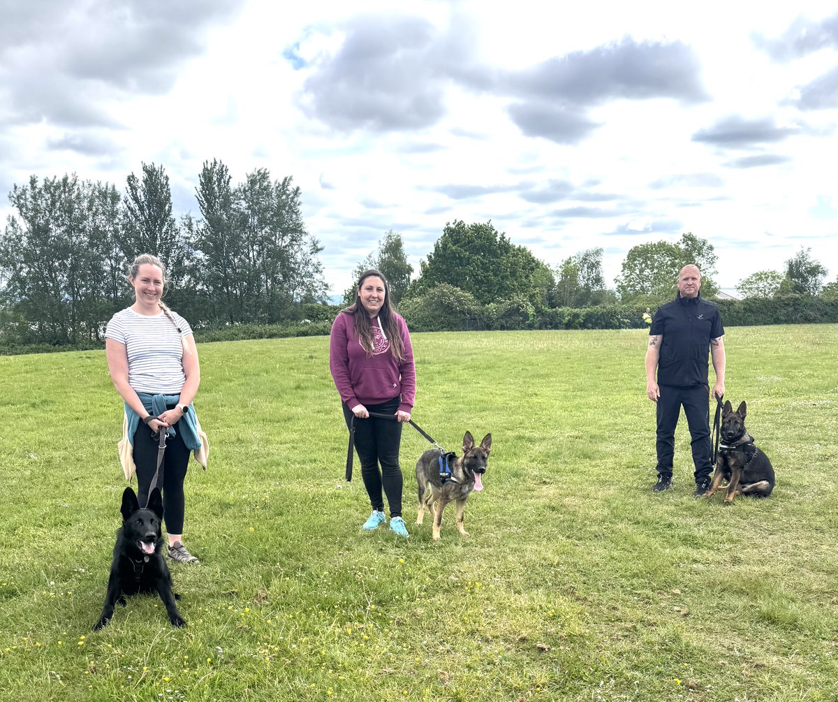 DC_Police Dogs ( Puppy Development Program) tweet media
