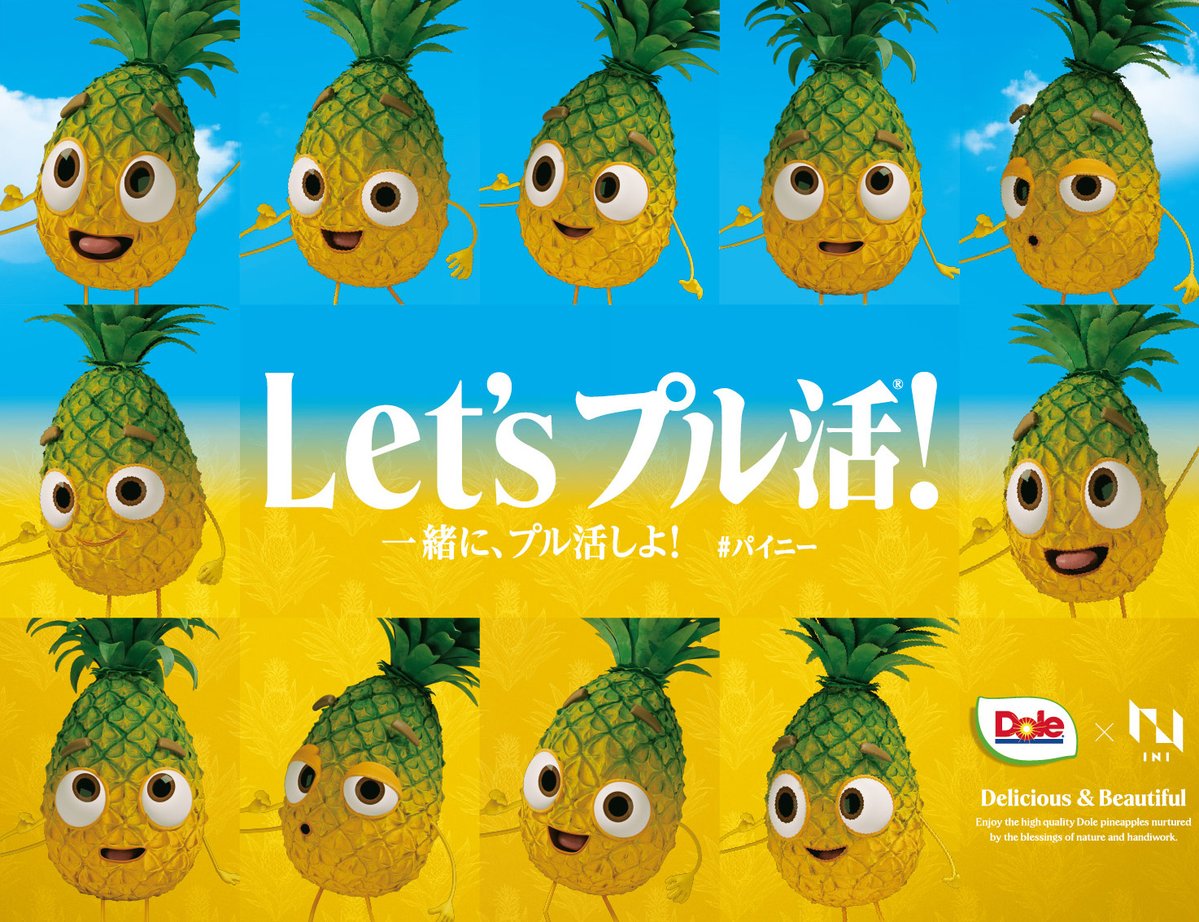 株式会社ドール tweet media