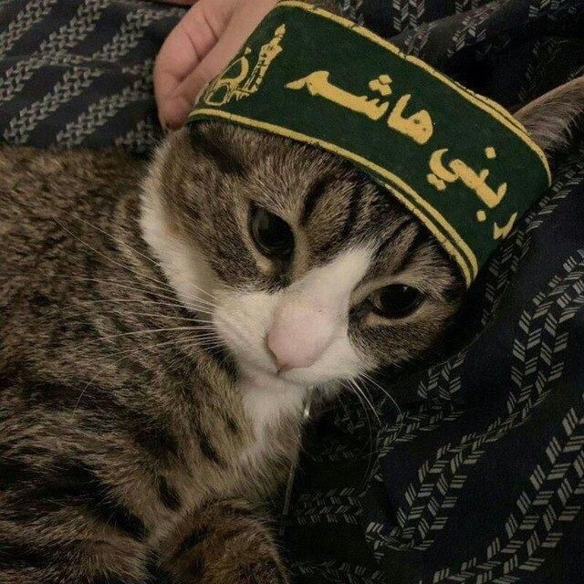 ރ حسيني tweet media
