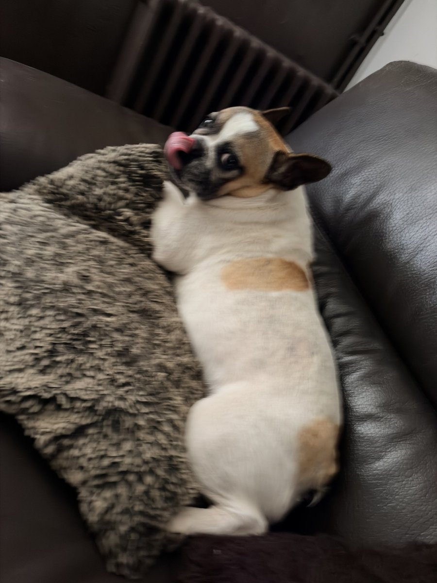 XnewOny's tweet photo. Et c’est reparti pour me faire appeler GrosBidou 😱😱 avec la chanson en prime 😂 😂 https://t.co/d8yzEVCdOu