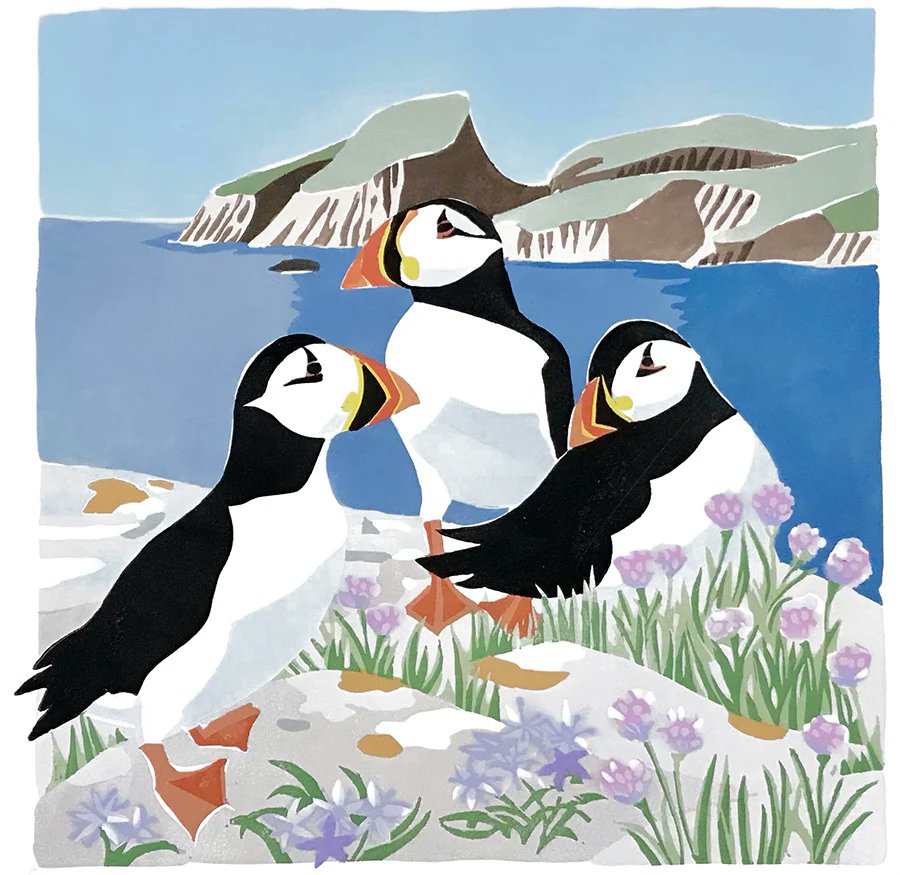 Fair Isle Bird Observatory tweet media