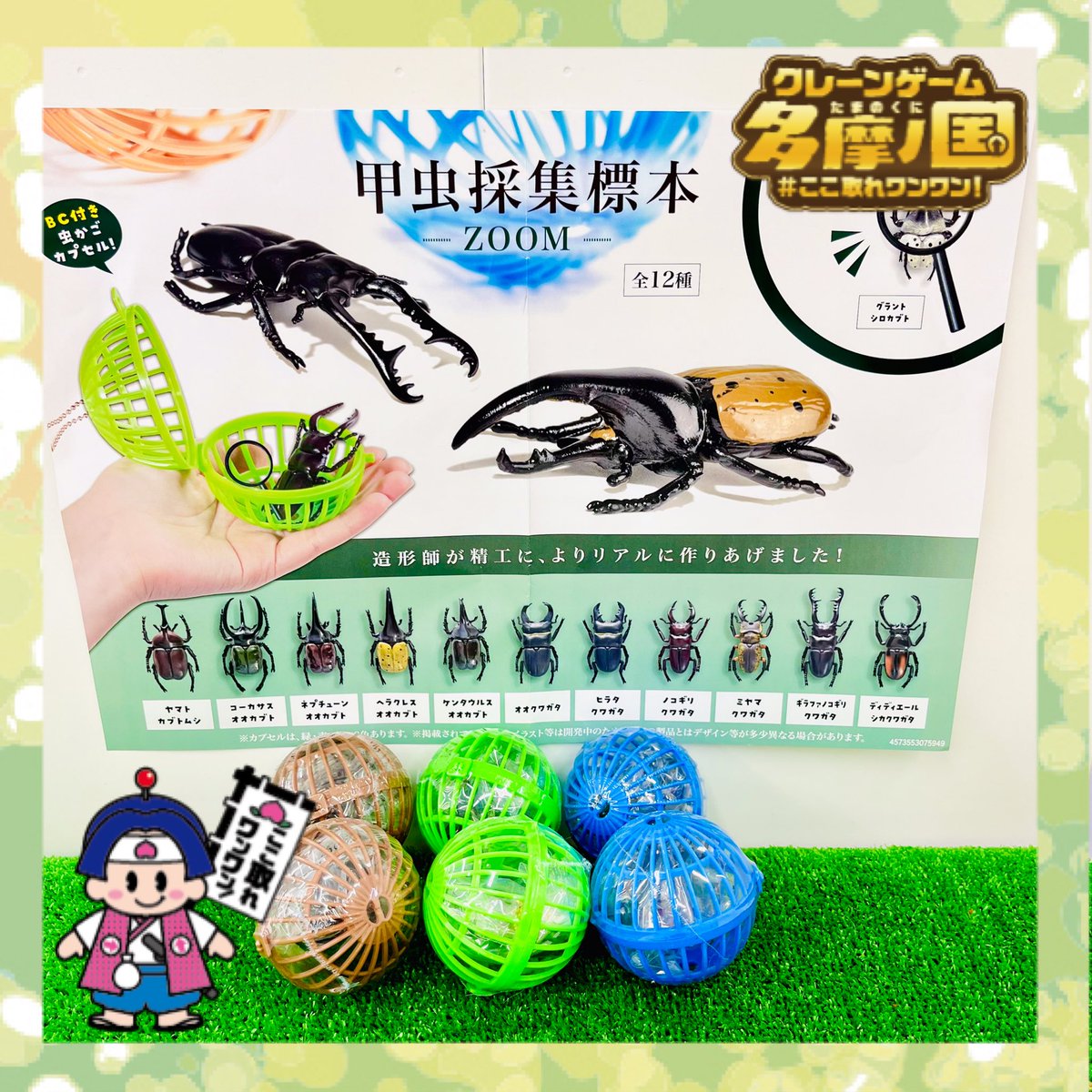 虫かご 植物採集　ブリキ ✨景品情報✨ 【甲虫採集標本-ZOOM-】 虫好きさん朗報です📣✨ 本物