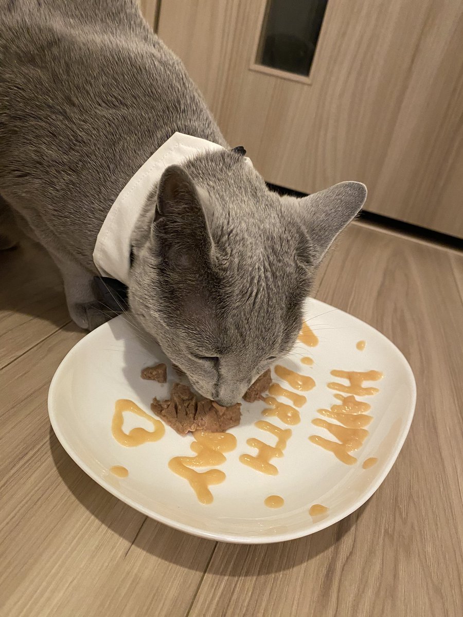 Uki_ymmd's tweet photo. May 11, 2026, happy birthday to Daifuku's 4th birthday!!! Please continue to eat and play a lot and take care of me as a big pillar of the family!! Be careful not to be intercepted by Okaki!!! https://t.co/LFNtZy5nwK
