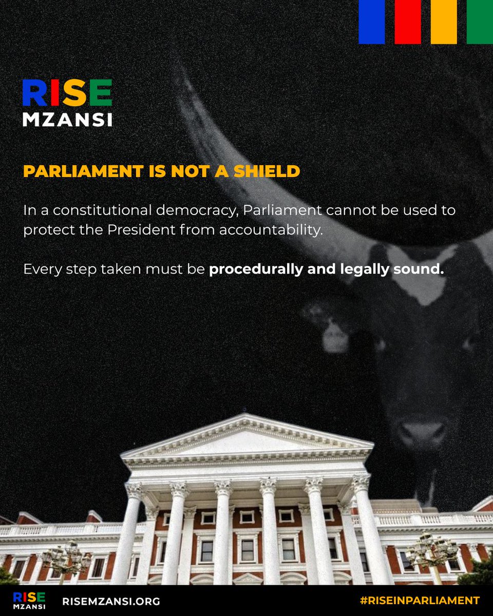 RISE Mzansi tweet media