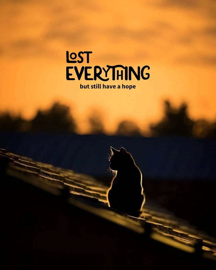 Stoic Mindset tweet media
