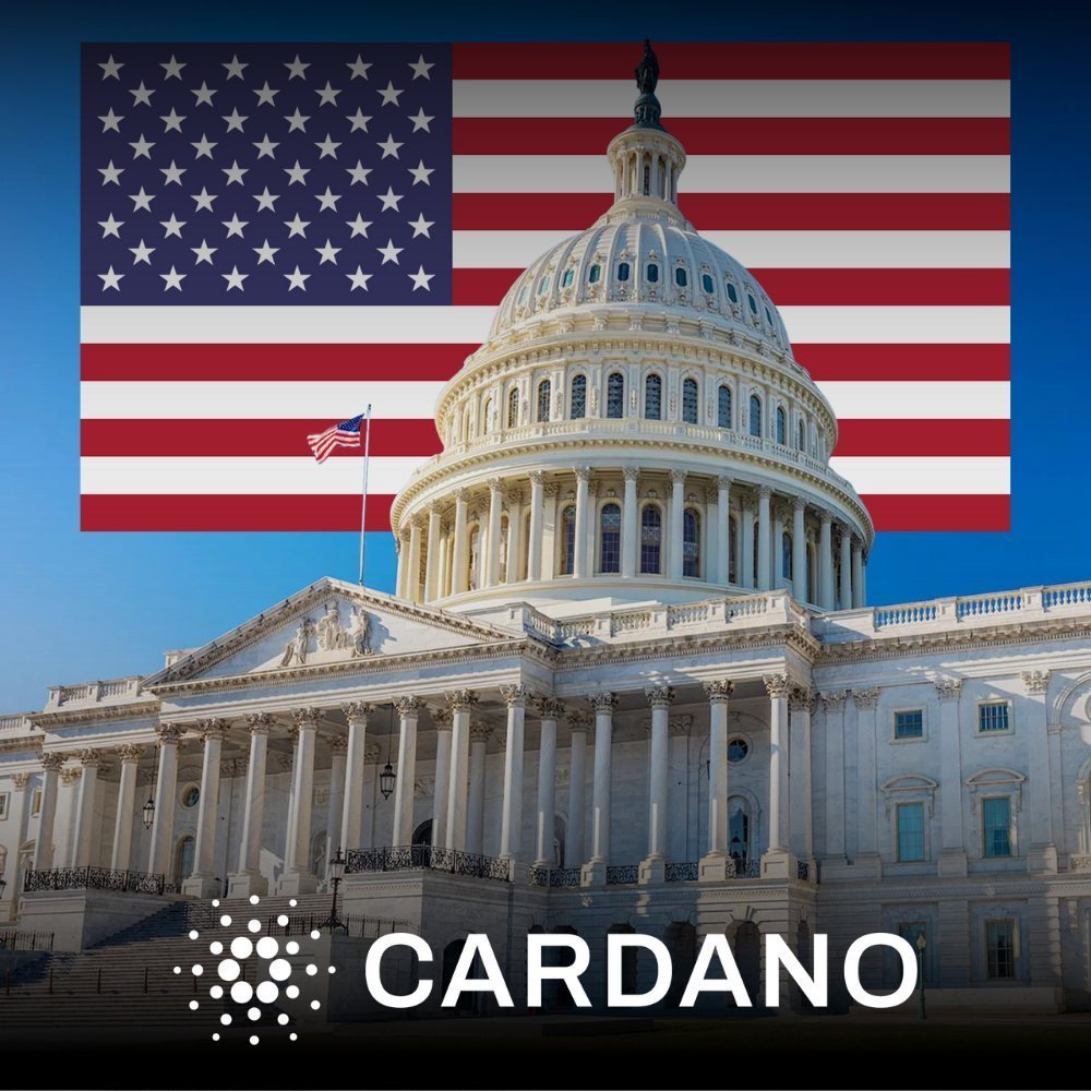 Cardanians (CRDN) tweet media