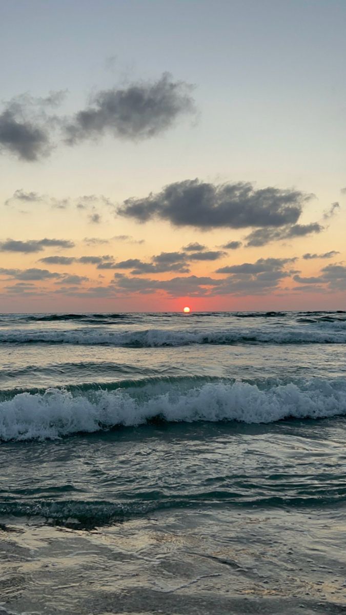 Shades Of Nature tweet media