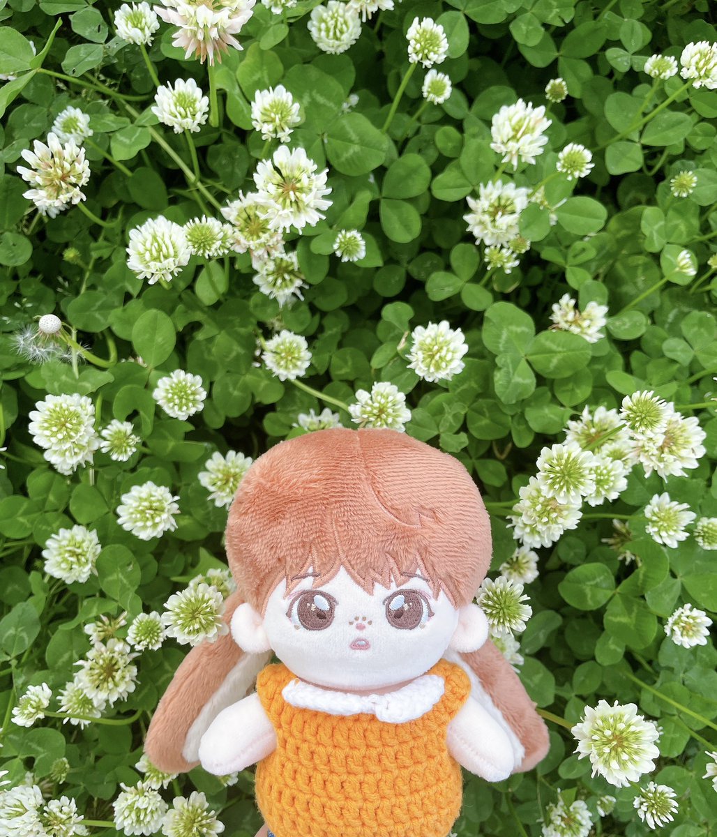 choco_byul_'s tweet photo. 🤍💚 https://t.co/ErjYZv9Ihy