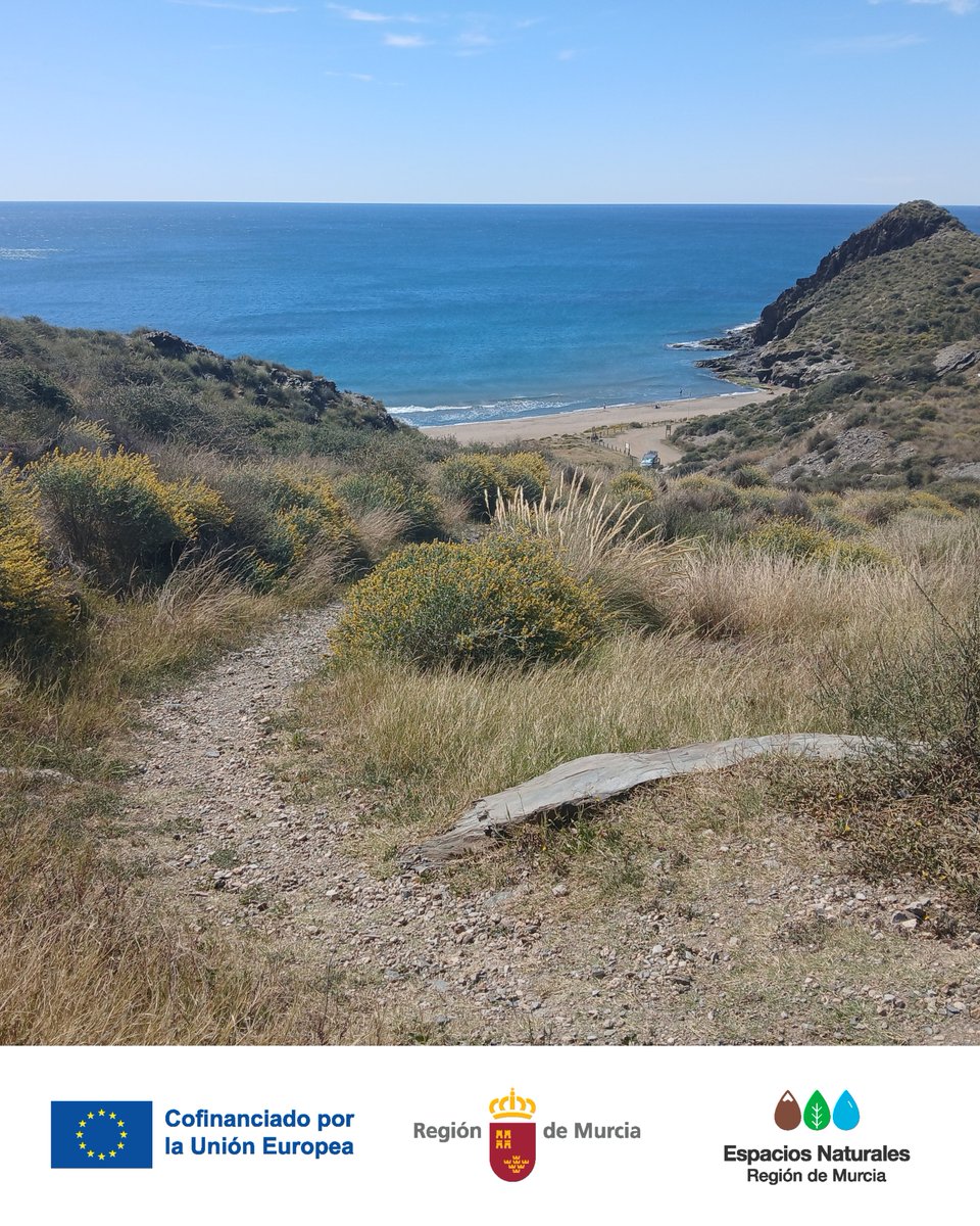 Parque Regional Calnegre y Cabo Cope tweet media
