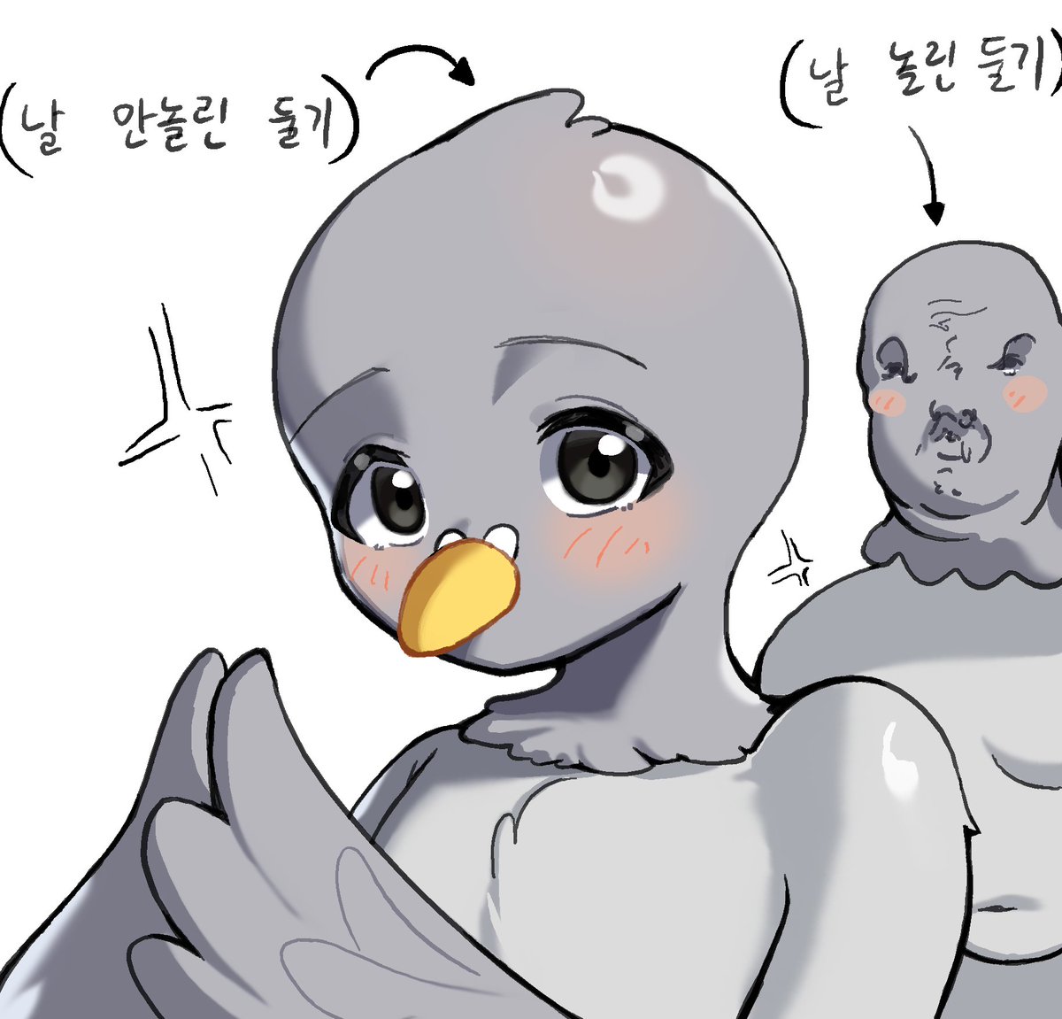 곶곶이 tweet media