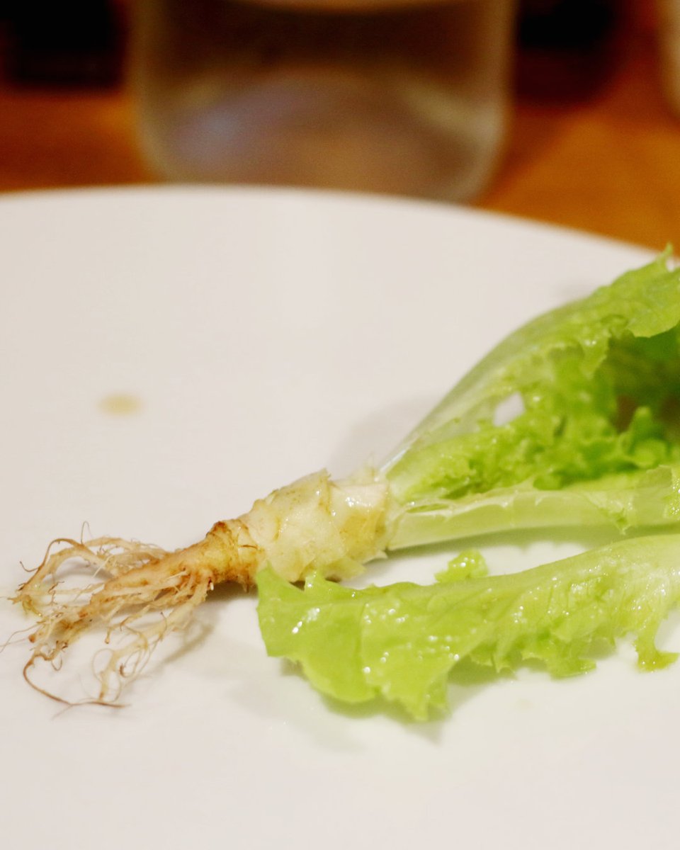 Sol_Blanc's tweet photo. Un aperitiu que ens dona molta satisfacció oferir, petits enciams de l'hort amb la seva arrel 🥬 https://t.co/on9igMKEXP