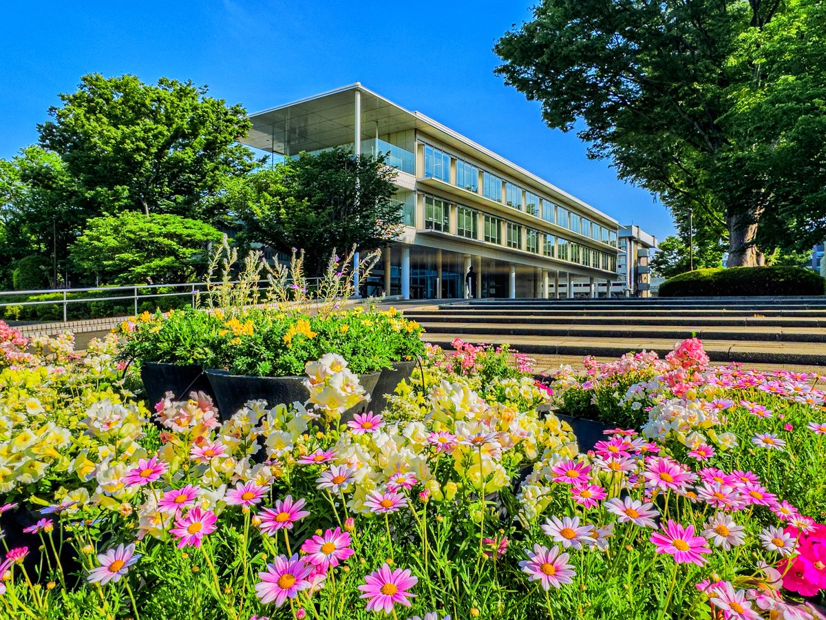 shibaura_system's tweet photo. 5/17（日）は大宮祭🌿✨

今の時期は、花と緑が輝き、
広々とした大宮キャンパスも楽しめます。

新しい学びが広がるこの場所、
少し先の毎日を想像するのもよいかもしれません。

第30回大宮祭ウェブサイト
https://t.co/sCYP1EuLww

#芝浦工業大学 #大宮キャンパス #大宮祭 https://t.co/jBmvVrVXU9