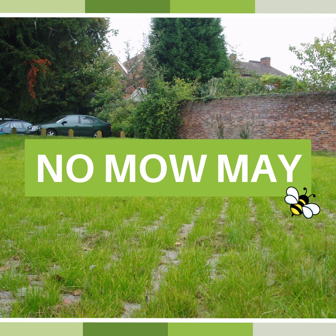 Grass Concrete Ltd tweet media