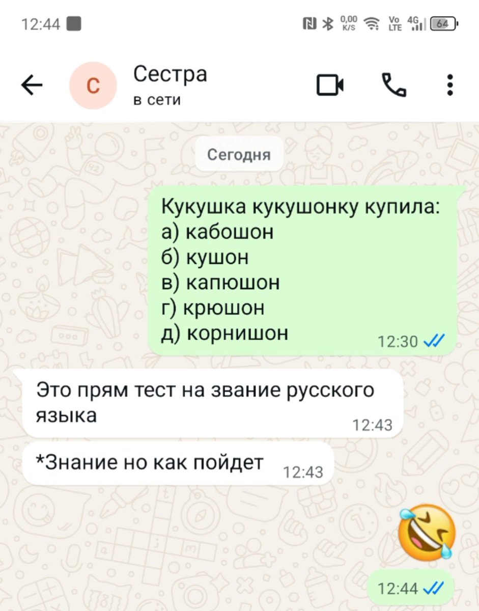 Светлана Владимировна tweet media