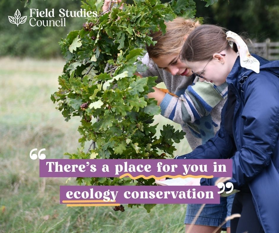 Field Studies Council tweet media