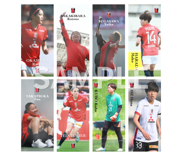 三菱重工浦和レッズレディース公式 tweet media