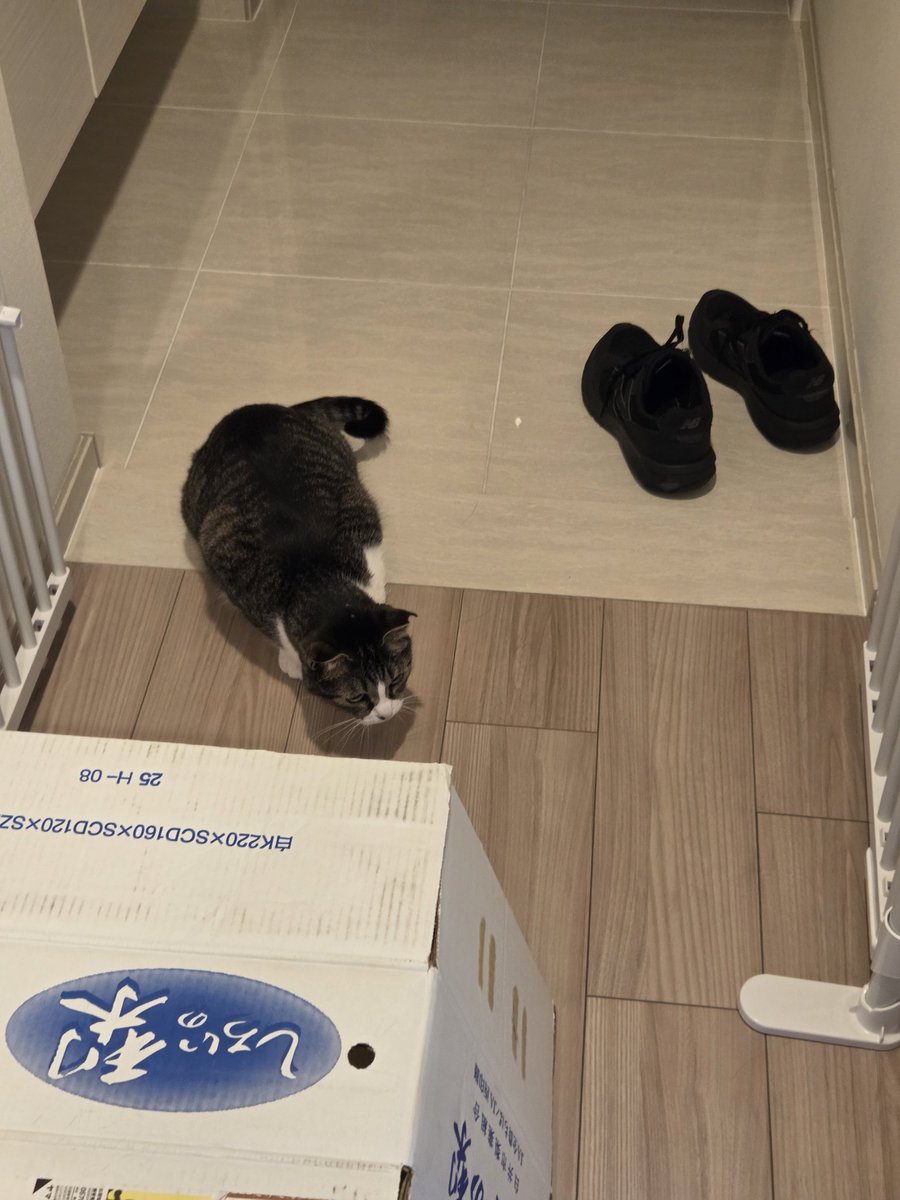 どれがつくでどれがくつなのかわかりません。