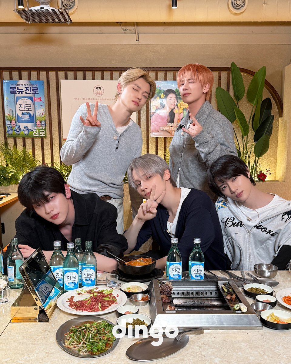dingo(딩고) tweet media