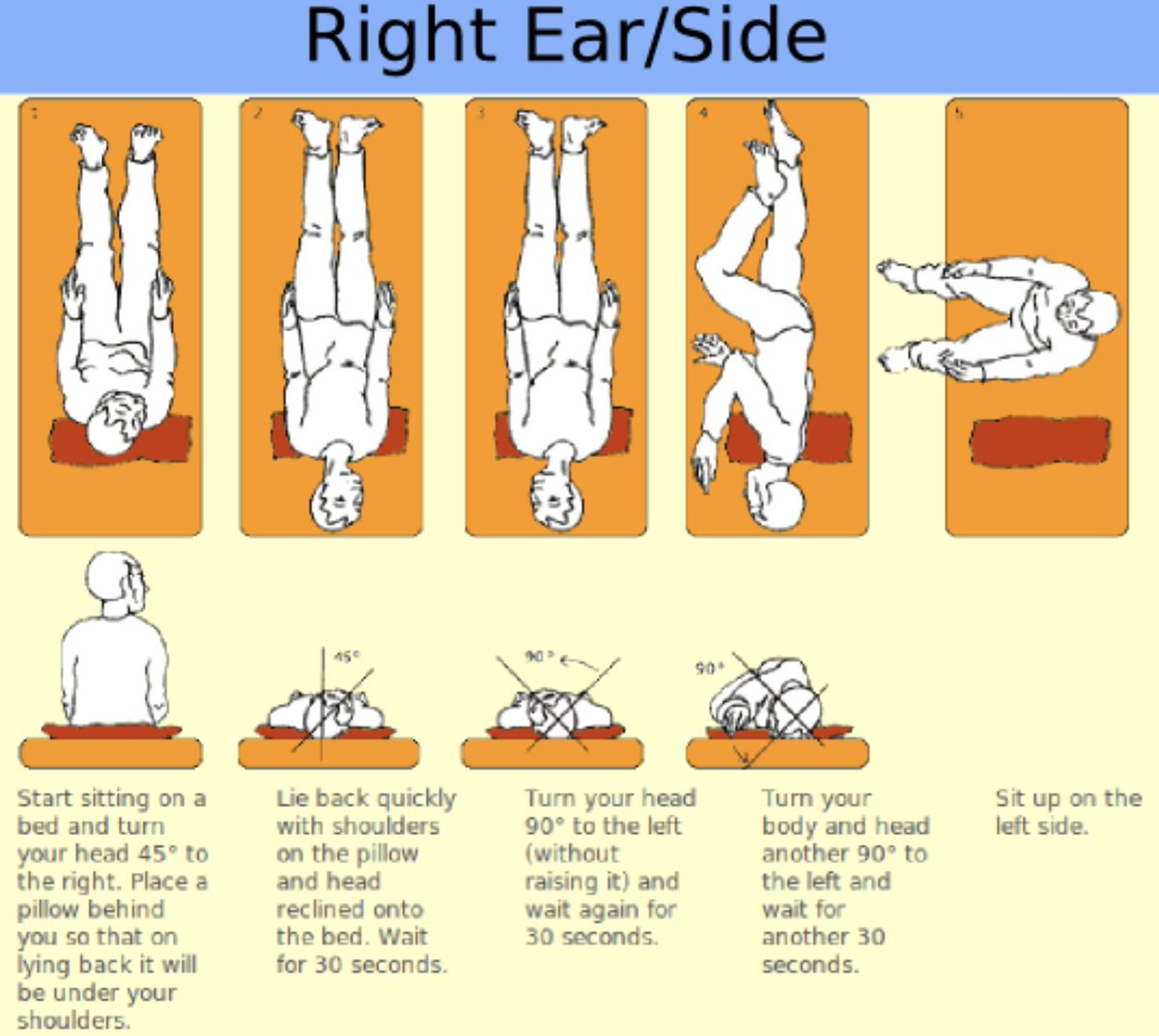 StudyXing Medicine tweet media