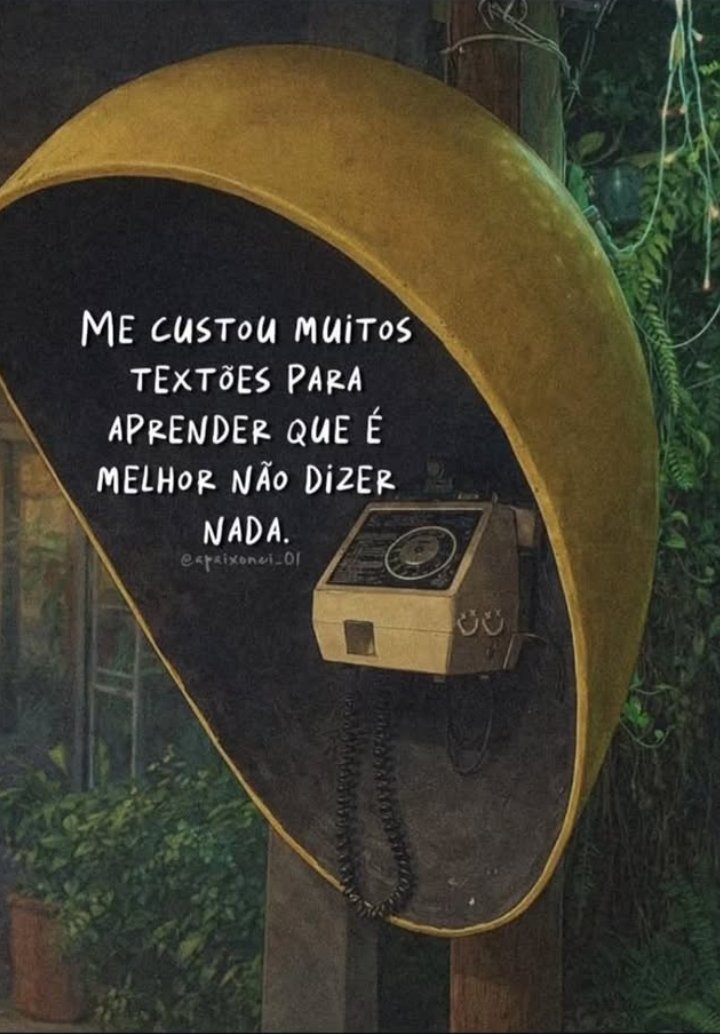 desabafos tweet media
