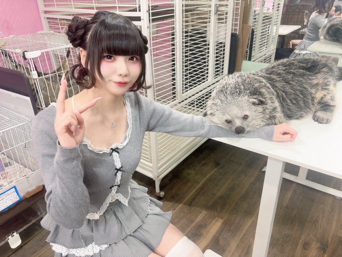 もるも🧸ྀི🎀 tweet media