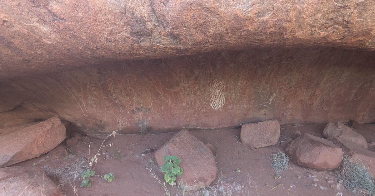 RyanGibbsWriter's tweet photo. Sunrise hike around #Uluru 🌅 🐨💙 https://t.co/UKo6KdVS2p