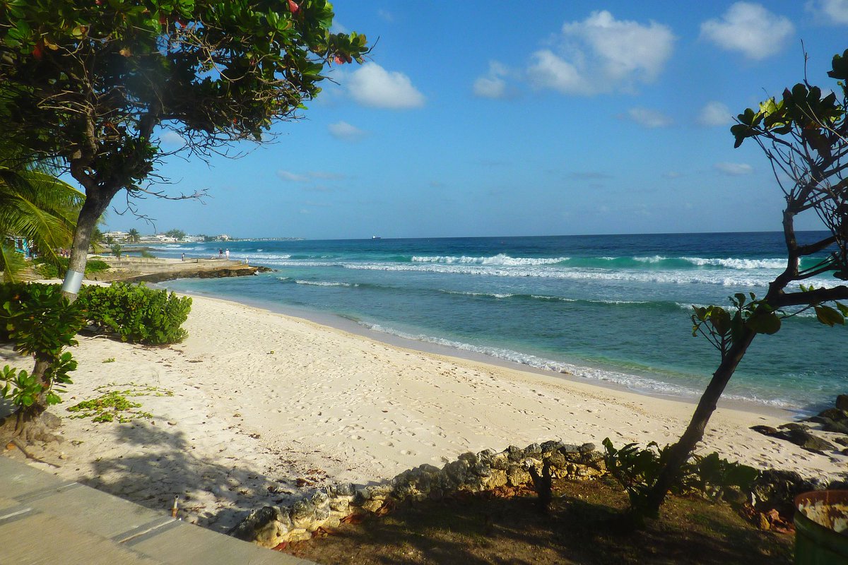 BoardwalksBB's tweet photo. 😎 Soaking up ocean views and island breezes along the south coast boardwalk... https://t.co/yjYD4TaxH8

#barbados #barbadosboardwalk https://t.co/LkCwZtueJu