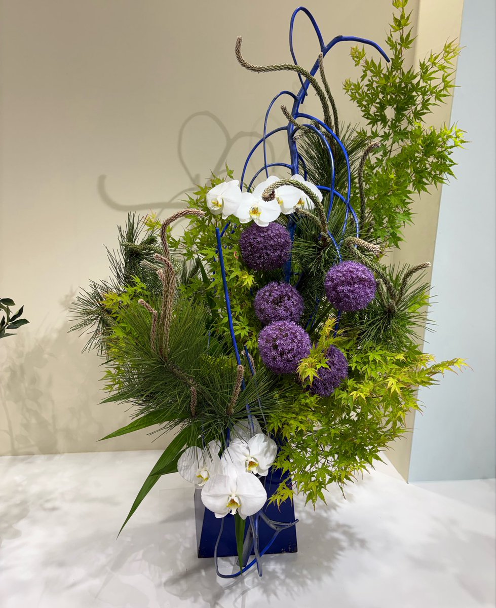 jugglingaccount's tweet photo. 名古屋で生け花見てきた
古風なイメージがあったけど現代のは想像を超える表現があって見てて刺激になる https://t.co/DvIM5FvNwI
