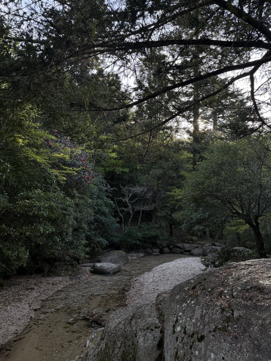 makalabalm's tweet photo. wandering around gardens in japan has become my favourite pastime https://t.co/a7Rs8wp4Le