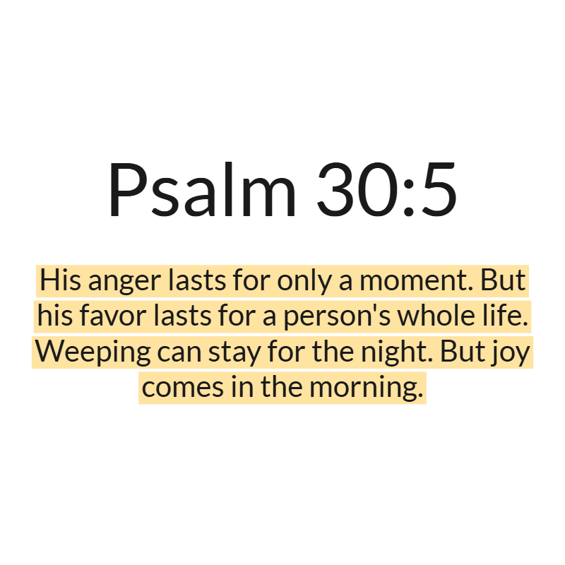 Jesus Insight tweet media