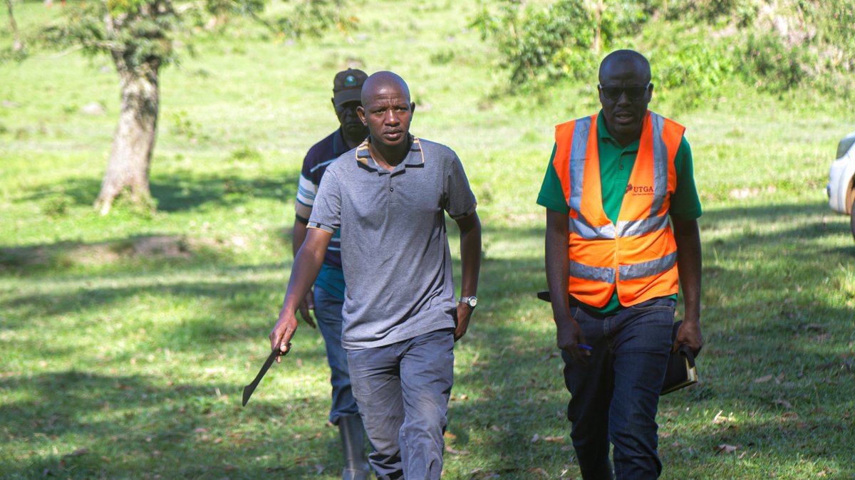 Uganda Timber Growers Association tweet media
