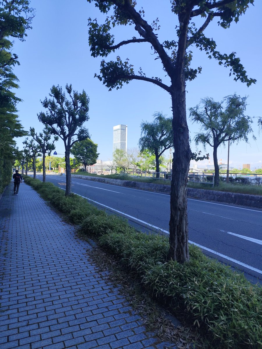 KifSu7's tweet photo. 新潟会合。
帰って走るよ！ https://t.co/gGERYyCkUE