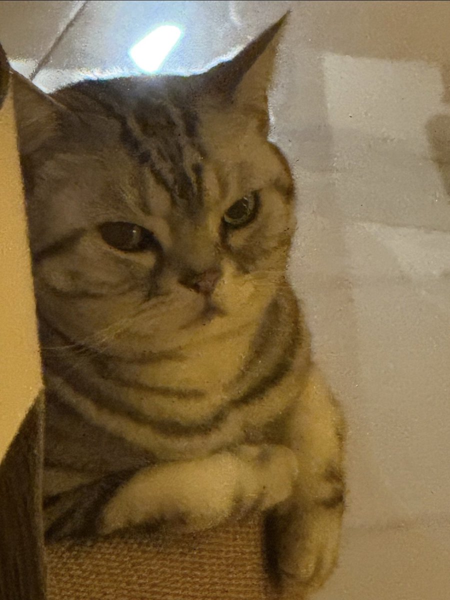 hyo🧼 tweet media